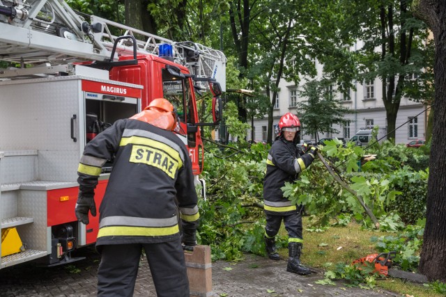 Dużo pracy z usuwaniem połamanych drzew mieli strażacy