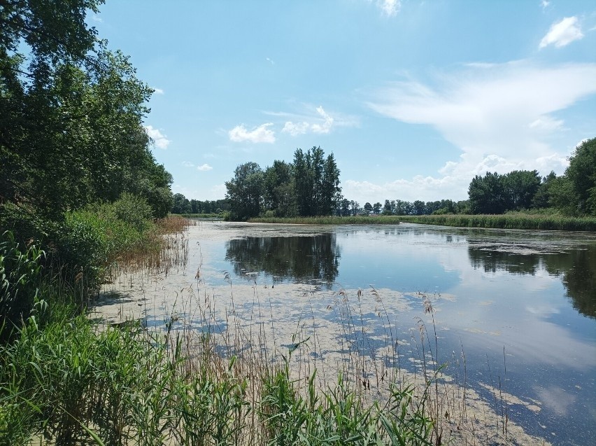 Wiele ze stawów jest zupełnie bezludnych, a większość...