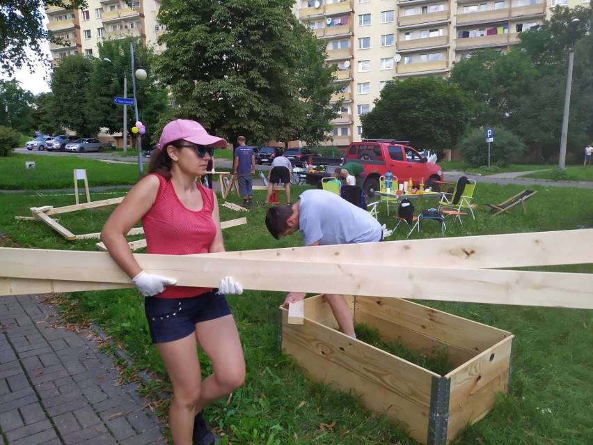 W Katowicach powstały cztery ogrody społeczne. Mieszkańcy sami je zbudowali, posadzili rośliny, a teraz będą o nie dbać. Gdzie się znajdują?