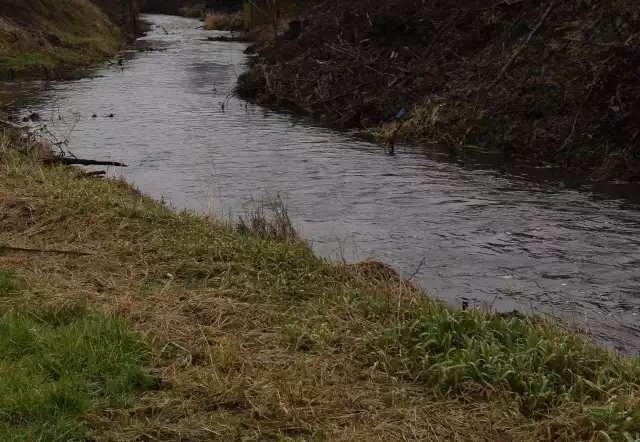 Sprawcy grillowali kilka dni obok miejsca pozbycia się zwłok