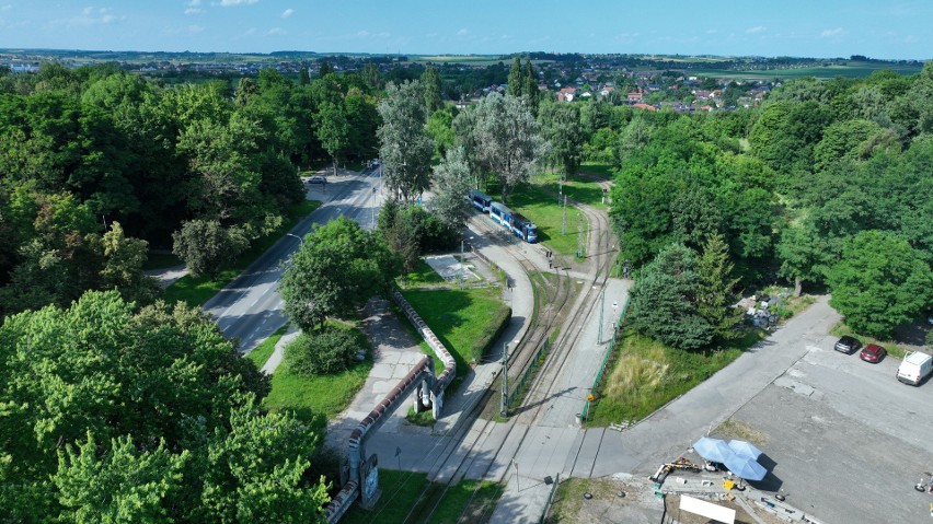 Kraków. Prawie 85 procent drzew zostanie wyciętych pod rozbudowę pętli tramwajowej Wzgórza Krzesławickie. Apel o korektę w projekcie