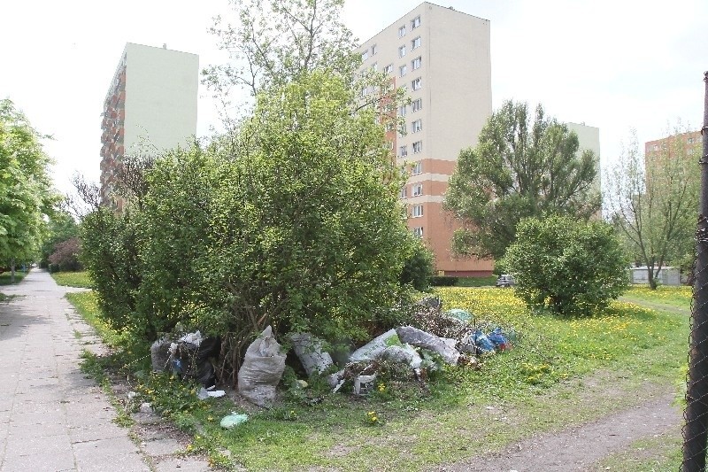 Worki śmieci zalegają na skwerze przy ul. Siemiradzkiego.