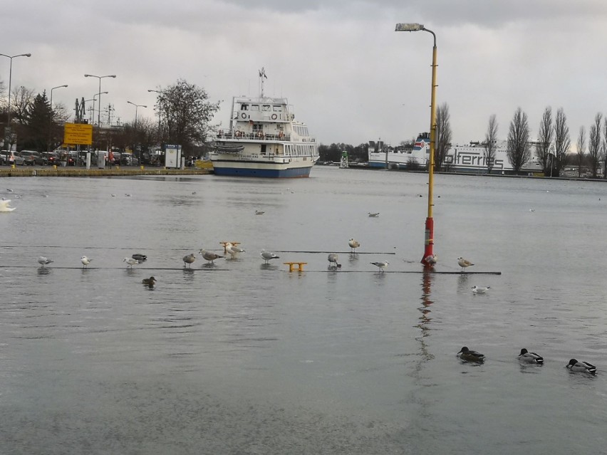 Sztorm spowodował, że ulice przy kanale portowym w Świnoujściu są zalane. Morze zabrało plażę [ZDJĘCIA]