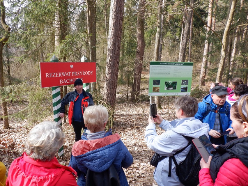 Turyści wczesną wiosną w rezerwacie przyrody Bachotek nad...