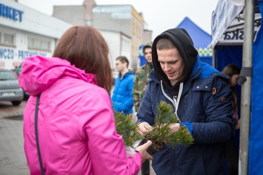 Tarnów. Gazeta Krakowska rozdaje roślinki i pomaga dzieciakom