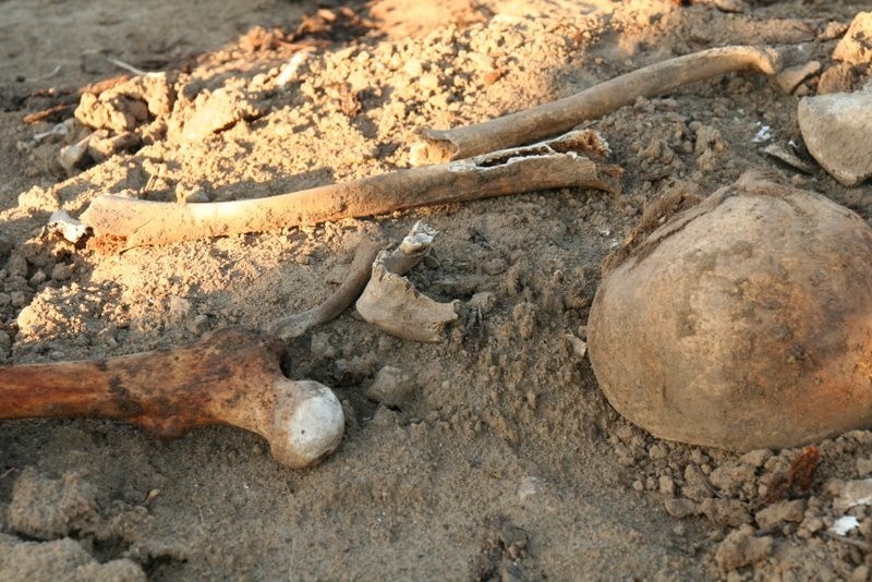 Ludzkie kości walają się w Gostyniu