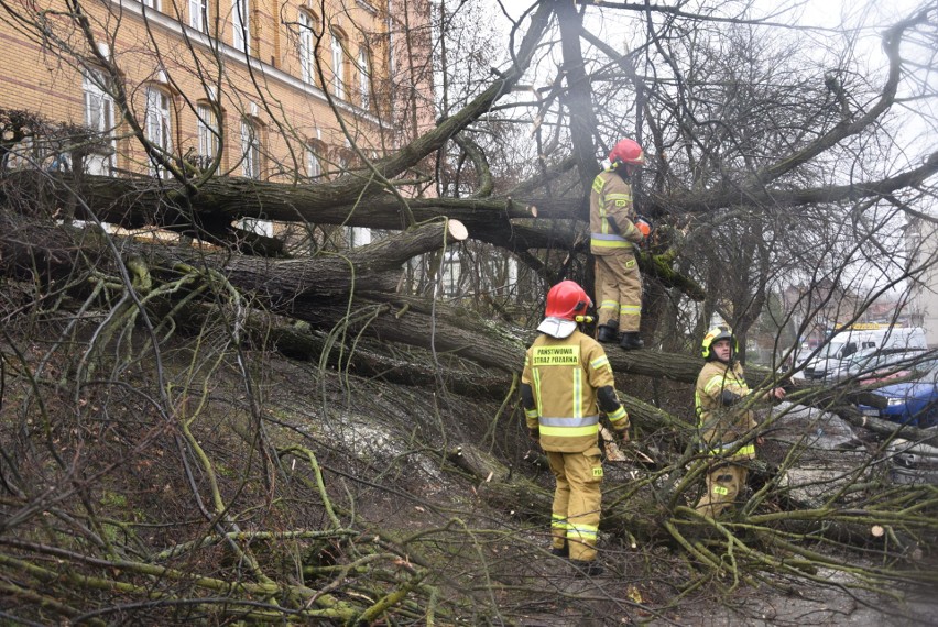 Wiatr łamie drzewa w Stargardzie i całym regionie. Wiele interwencji strażaków [ZDJĘCIA]
