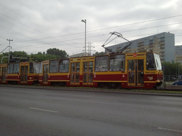 Według pasażerki tramwaju, motorniczy przejechał psa, choć mógł tego uniknąć