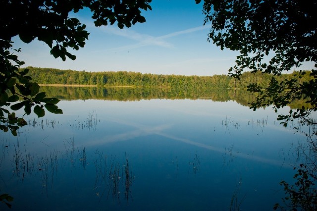 Szlakiem bytowskich jezior lobeliowych.