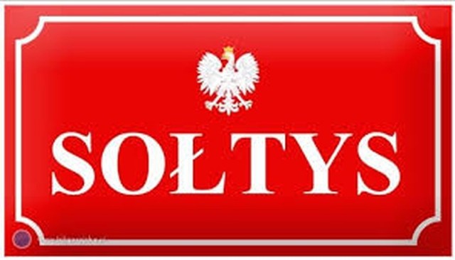 Wybory sołtysa w Płużnicy zaplanowano 16 marca