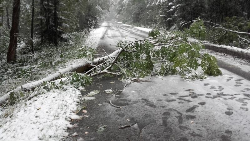 Sądecczyzna zaatakowana przez wiatr i śnieg [ZDJĘCIA]