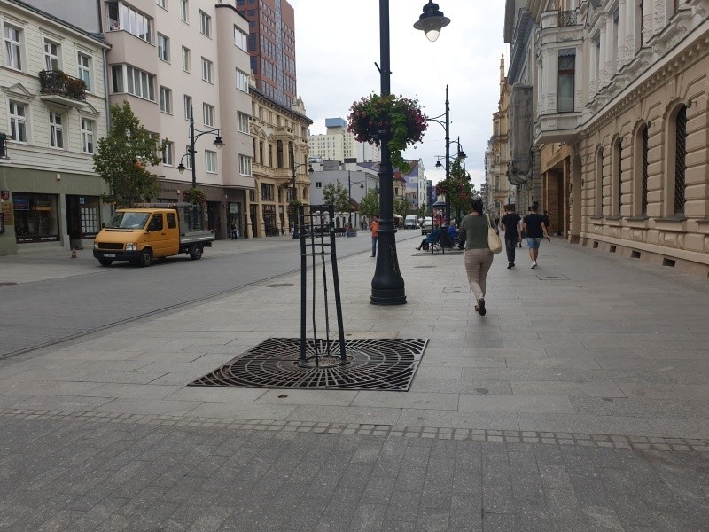 Wycięli drzewa na ul. Piotrkowskiej. Pięć platanów nie wytrzymało suszy...