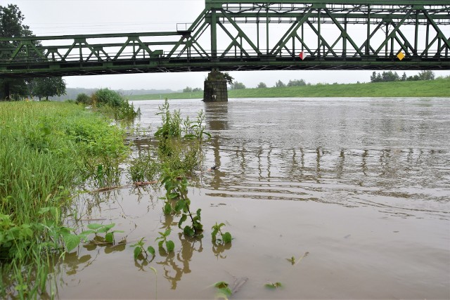 Odra w Opolu. Rośnie poziom wody w rzece. Fala wezbrania ma przejść przez miasto w środę 25 czerwca w godzinach popołudniowych.