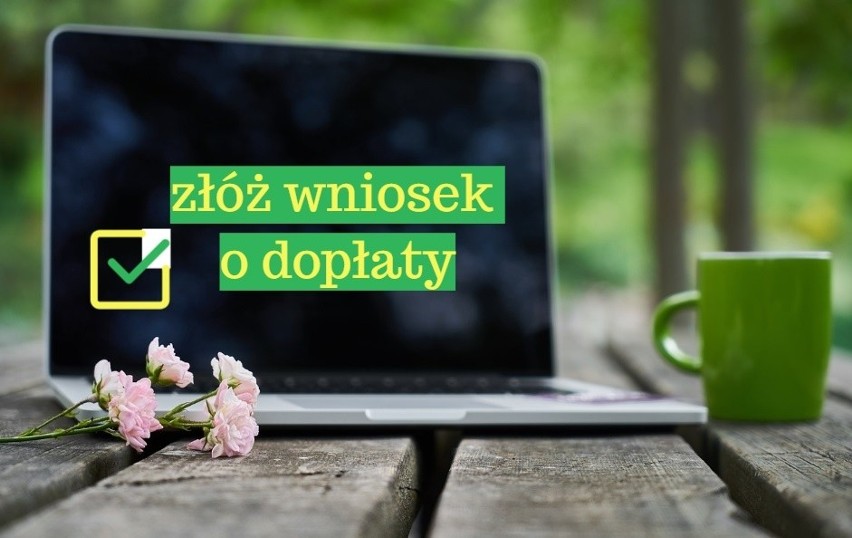 Wnioski o dopłaty bezpośrednie 2019 - gdzie je znaleźć? Ile już złożonych? Nabór na półmetku