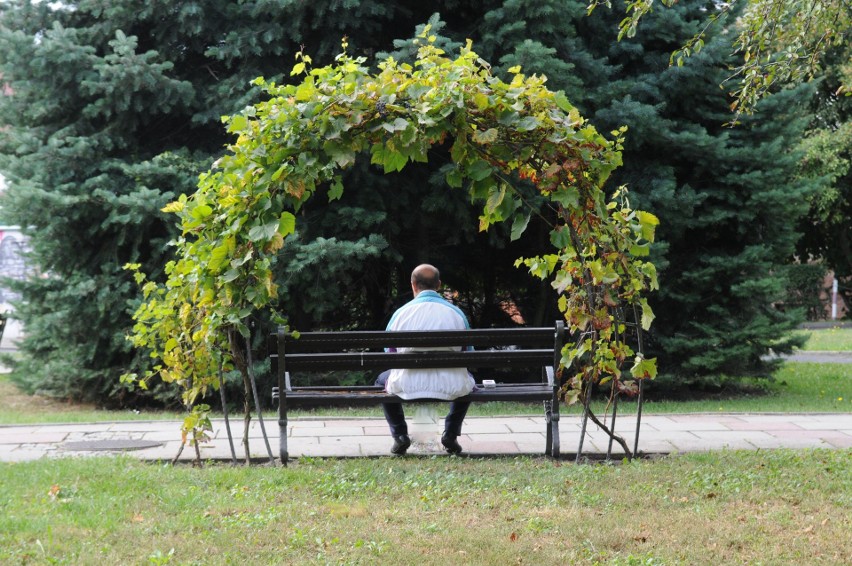 Ławki w miastach to szansa na odpoczynek nie tylko w upalne...