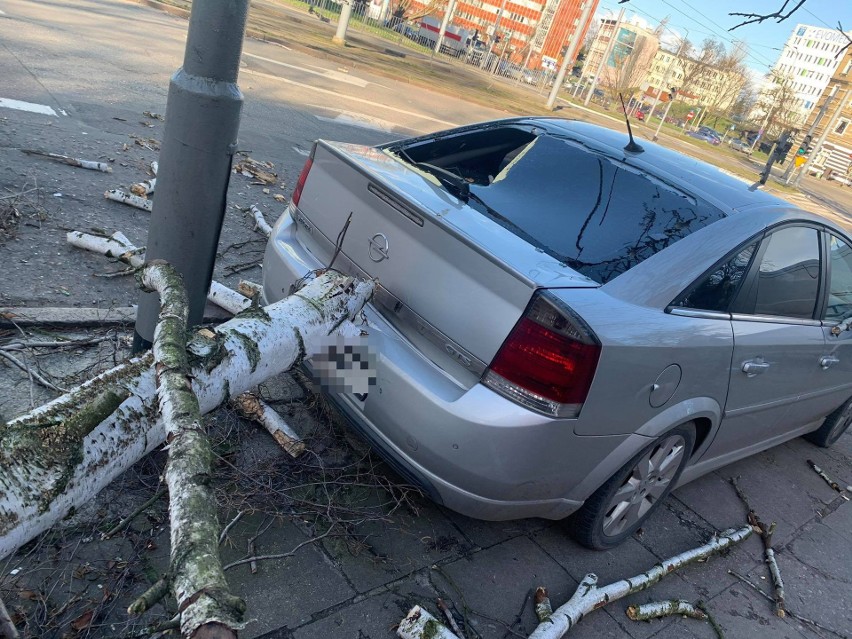 Kłopoty z powodu wichury w Szczecinie i regionie. Strażacy mają pełne ręce roboty