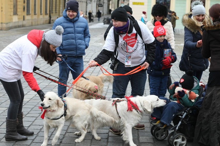 Goldeny też kwestują na WOŚP