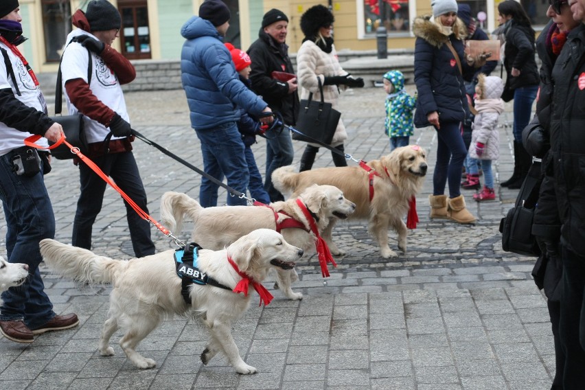 Goldeny też kwestują na WOŚP