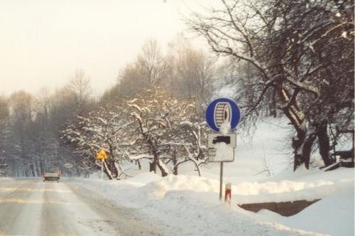 Śnieżne niespodzianki