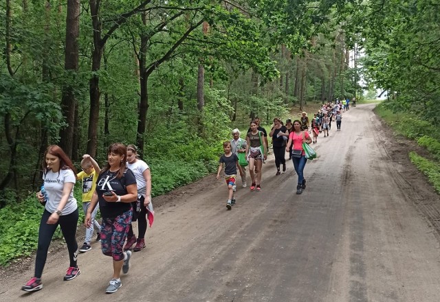 Uczestnicy rajdu „Pieszo do Elgiszewa” wystartowali z Golubia-Dobrzynia, a finisz zorganizowano na stadionie w Elgiszewie.  Trasa rajdu liczyła 12 km i wiodła Doliną Drwęcy