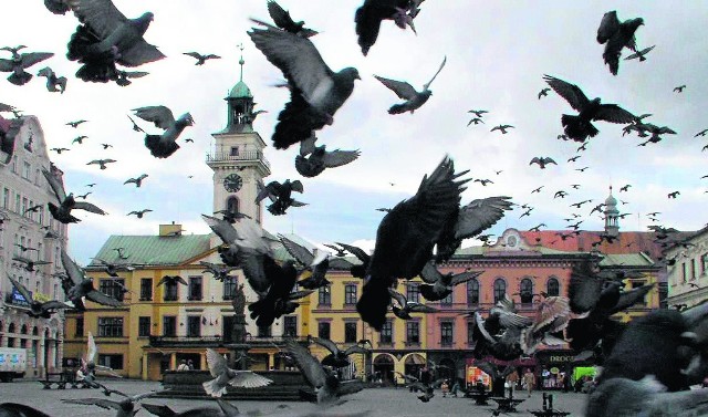 Dyskusja o tym, jaki charakter ma mieć rynek toczy się od lat. Na razie niewiele z niej wynika