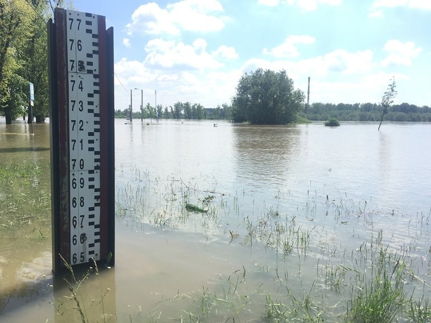 Trwa walka z wielką wodą. W Sandomierzu i Zawichoście przekroczone stany alarmowe. Trwa umacnianie wałów