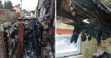 Dramat na działkach na Rudaku w Toruniu. Ogień strawił cały dobytek sześcioosobowej rodziny [zdjęcia]