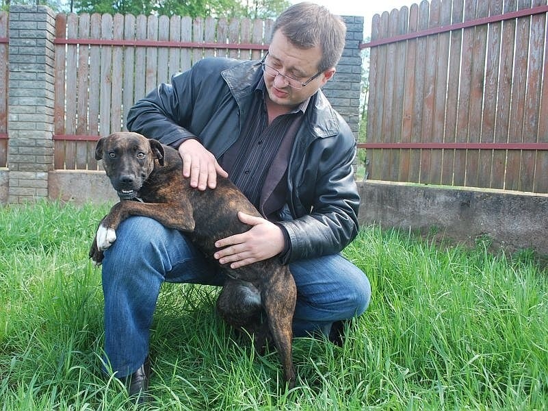 - Dziś mijają dokładnie dwa tygodnie jak piesek jest u nas –...