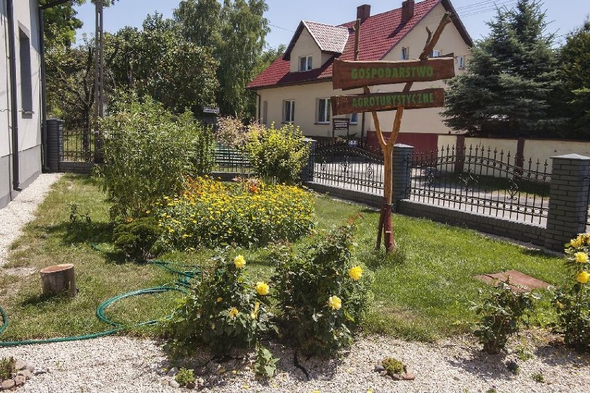 Wybieramy najpiękniejsze ogrody i balkony w powiecie...