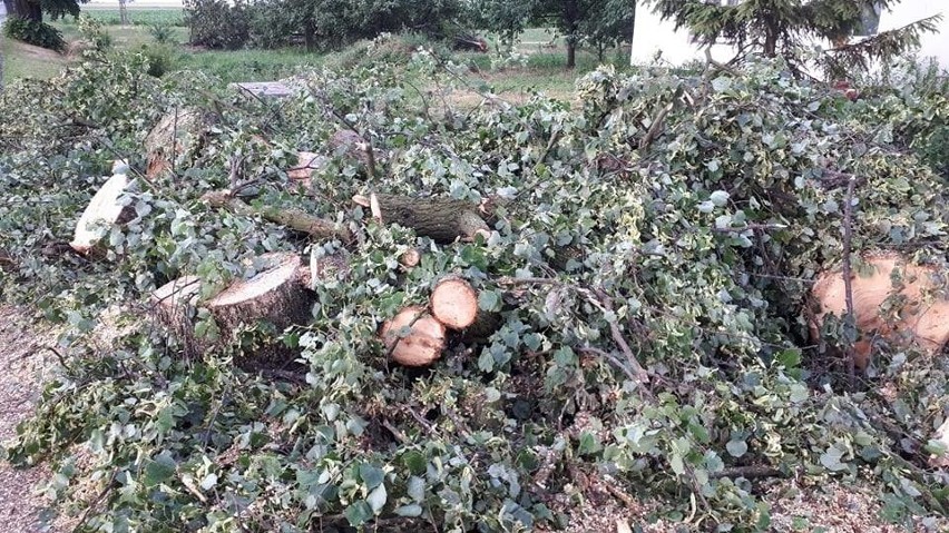 Burza w powiecie chełmińskim. Są zerwane dachy 