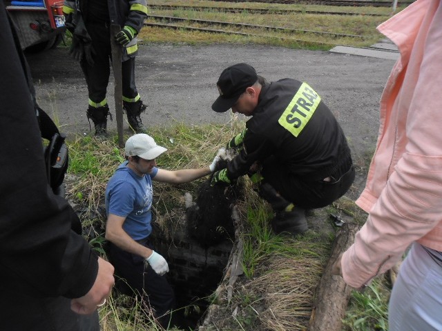 Strażacy i policjanci z Międzyrzecza uratowali czworonoga, który wpadł, lub został wrzucony do niezabezpieczonego szybu przy torach kolejowych.