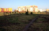 Park, rozrywka oraz azyl w Kruszwicy