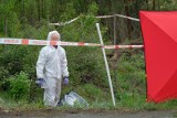 Poszukiwany 87-latek z Torunia nie żyje. Jego zwłoki znaleziono w lasku przy Szosie Bydgoskiej