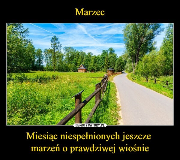 Memy  okazji Dnia Wiosny. Oglądamy z przymrużeniem oka