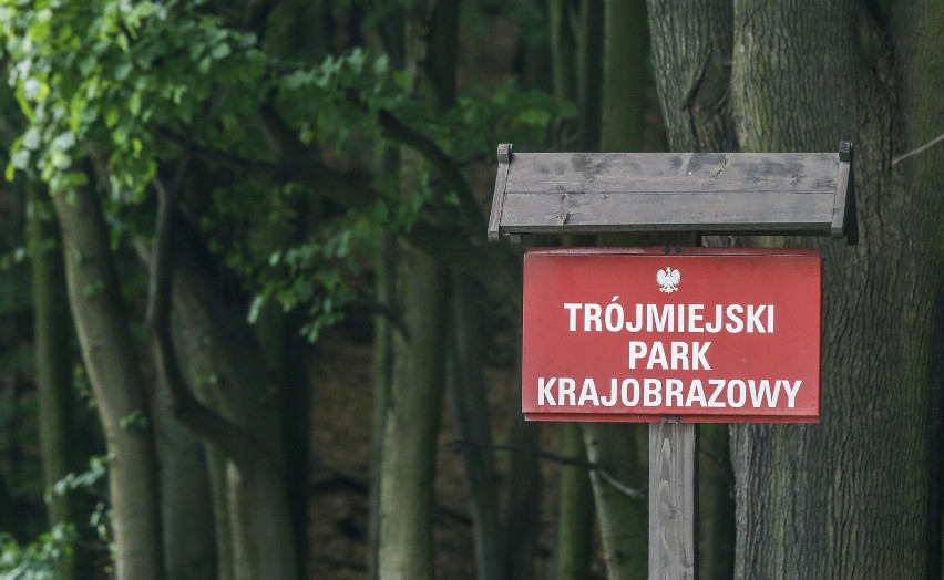 Trójmiejski Park Krajobrazowy to świetne miejsce do...