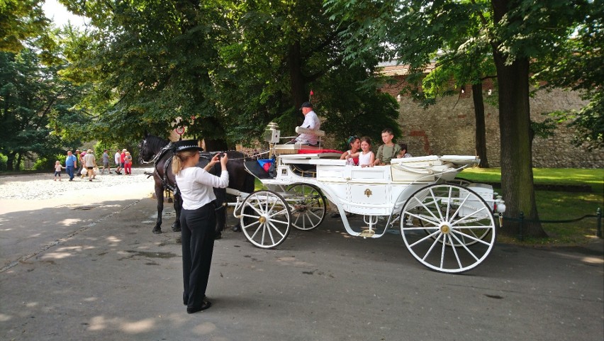 Dorożka na Plantach w okolicy Arsenału Miejskiego i Bramy...