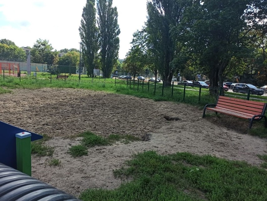 Psie parki w Łodzi - lokalizacje...
