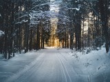 Powrót śniegu w województwie zachodniopomorskim! Kierowcy będą musieli szczególnie uważać na drogach