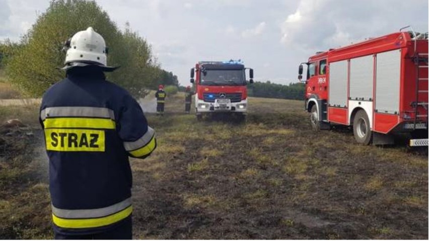 Gmina Ełk. Sezon na wiosenne wypalanie traw trwa - dwa pożary w gminie