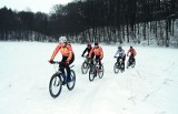 Co nam się podoba a co przeszkadza w parku w Myślęcinku? Wypełnij ankietę