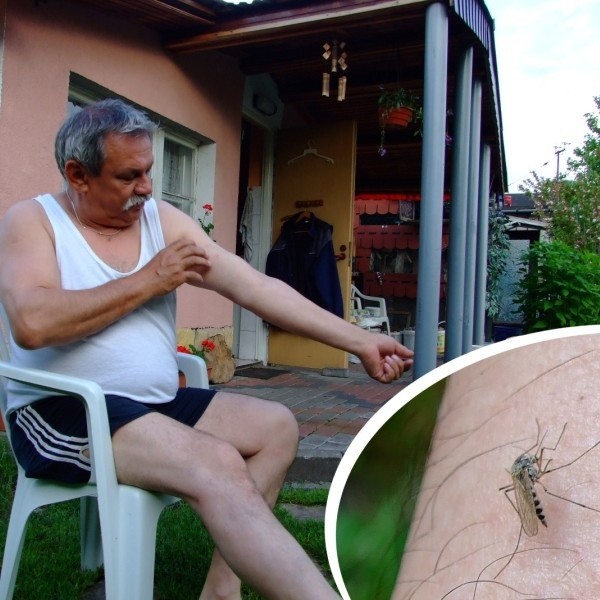 - Z powodu komarów nie da się wysiedzieć na świeżym powietrzu - mówi pan Zbigniew.