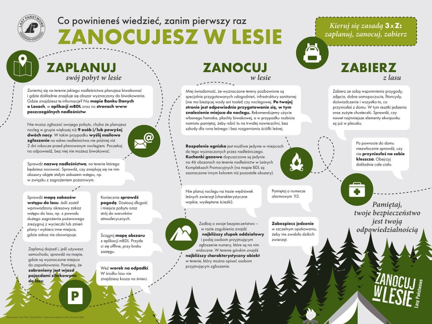 Praktyczna infografika Lasów Państwowych, ilustrująca zasadę...
