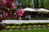 Wiosna 2024 w Busku-Zdroju. Miasto jest pełne słońca, kolorowych kwiatów i spacerowiczów. Zobaczcie zdjęcia