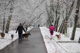Śnieg w Łodzi. Prognoza pogody na 26 i 27 grudnia. Zaśnieżone ulice i parkowe alejki w 2. dzień świąt