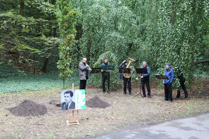 Trzy nowe Drzewka Pamięci na Cmentarzu Centralnym [wideo]