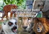 Sprawdź, jakie zwierzę budzi się w Tobie, gdy wsiadasz za kierownicę 