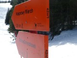 Tatry. Zimowe oznaczenia na szlakach. Pomarańczowe tabliczki są dla wędrujących na nartach