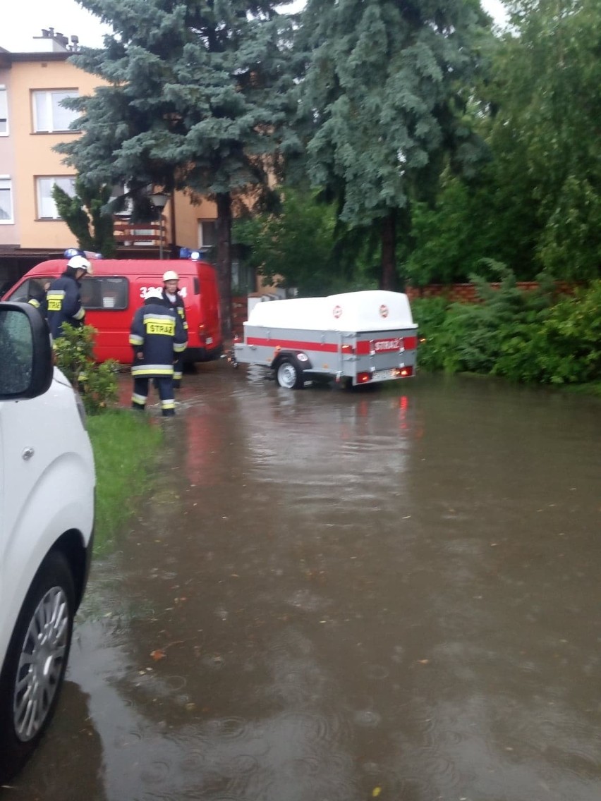 W poniedziałek strażacy z OSP Rzeszów-Zalesie zostali...