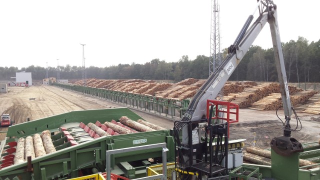 Już w tym roku do zakładu Stora Enso w Murowie przyjadą znacznie większe niż dotychczas ilości drewna.