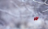 Pierwszy dzień zimy 2019. Kiedy wypada zima kalendarzowa, a kiedy zima astronomiczna? 